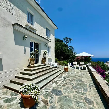 Propriete De Prestige Avec Piscine Et Vue Mer, Erbalunga Cap Corse Brando