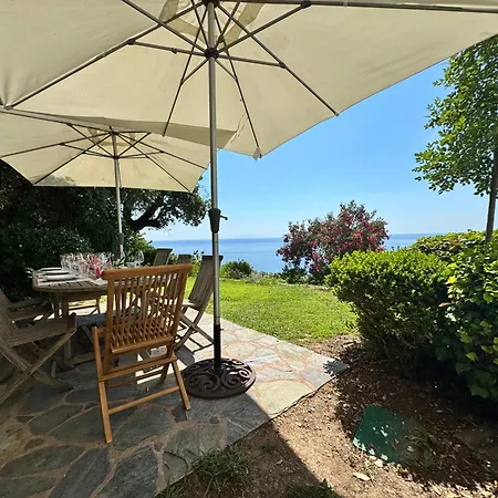 Villa Propriete De Prestige Avec Piscine Et Vue Mer, Erbalunga Cap Corse Brando