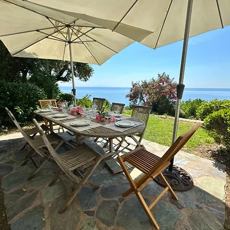 Propriete De Prestige Avec Piscine Et Vue Mer, Erbalunga Cap Corse *