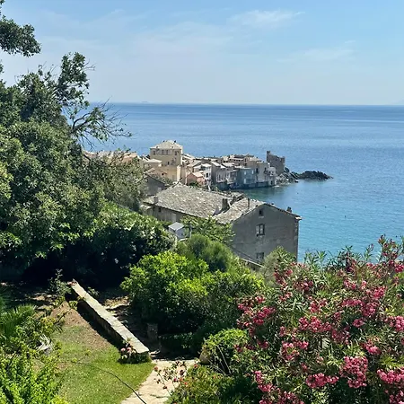 Villa Propriete De Prestige Avec Piscine Et Vue Mer, Erbalunga Cap Corse