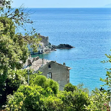 Propriete De Prestige Avec Piscine Et Vue Mer, Erbalunga Cap Corse * Brando