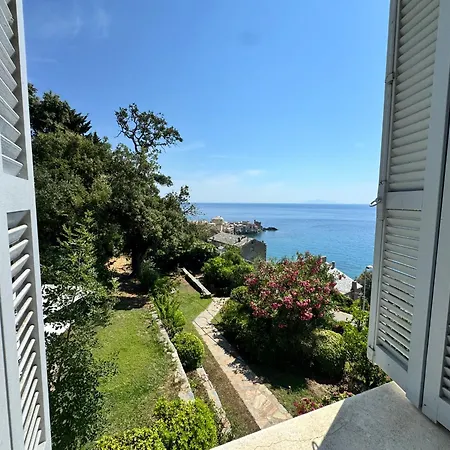 Propriete De Prestige Avec Piscine Et Vue Mer, Erbalunga Cap Corse Villa Brando